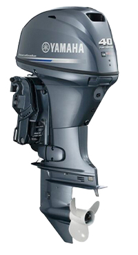 YAMAHA MOTOR F40     FETS