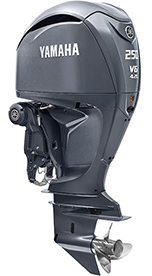 YAMAHA MOTOR F250   PETN