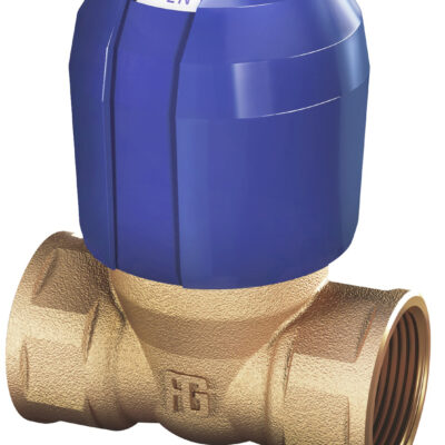 GUIDI NON-STICK VALVE       1"