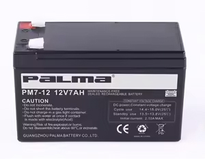 PALMA AKÜ 12 V 7 AMPER