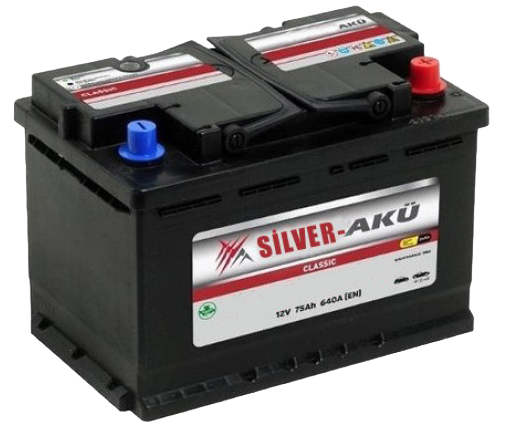 SILVER MARİN AKÜ 100 AMPER